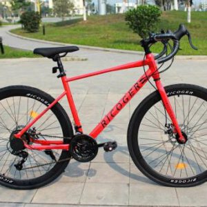 Xe Đạp Tay Cong Ricoger R10 ( Tặng Kèm Bộ Dụng Cụ)