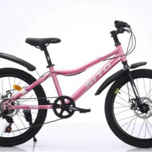 Xe Đạp ST200 Size Bánh 20 Inch Cho Bé Từ 7 Tuổi
