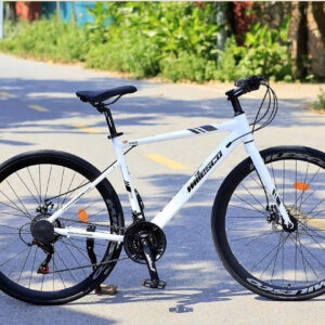 Xe Đạp Touring Khung Nhôm Milesco R900S