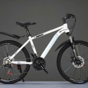 Xe Đạp Địa Hình Ricoger RC580 Size Bánh 26 Inch