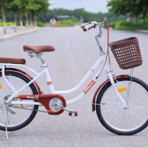 Xe Đạp Mini RICOGER RC40 Bánh 24 Inch