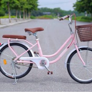 Xe Đạp Mini RICOGER RC40 Bánh 20 Inch Cho Bé Từ 1m2