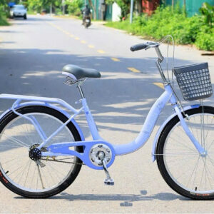 Xe Đạp Mini Kubabi KB3 Size Bánh 24 Inch