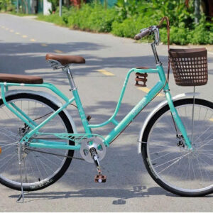 Xe Đạp Mini RICOGER RC20 Bánh 24 Inch ( Tặng Kèm Đệm Sau + Giá Đựng Bình Nước)