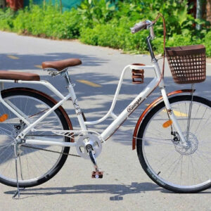 Xe Đạp Mini RICOGER RC20 Bánh 26 Inch ( Tặng Kèm Đệm Sau + Giá Đựng Bình Nước)