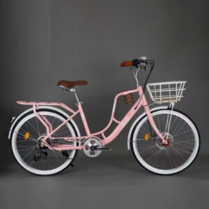 Xe Đạp Trợ Lực Mini TAIK Có Bộ Đề 7 Cấp Độ Bánh 24 Inch