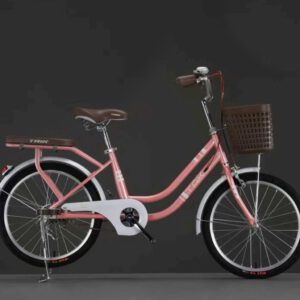 Xe Đạp Mini TAIK Bánh 20 Inch Cho Trẻ 7-10 Tuổi ( Tặng Kèm Đệm Sau)