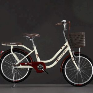 Xe Đạp Mini TAIK Bánh 22 Inch Cho Trẻ 8 -11 Tuổi ( Tặng Kèm Đệm Sau)
