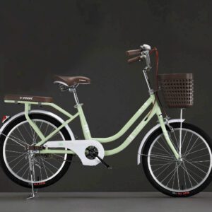 Xe Đạp Mini TAIK Bánh 24 Inch Cho Người Cao Từ 1m40 Trở Lên ( Tặng Kèm Đệm Sau)