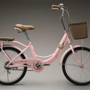 Xe Đạp Mini XAMING VT Size 20 Inch