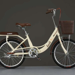 Xe Đạp Mini TAIK VT Đủ Màu Size 20 Inch ( Tặng Kèm Đệm Sau )
