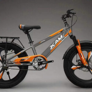 Xe Đạp Thể Thao Vành Đúc XAMING 006 Size 18 Inch