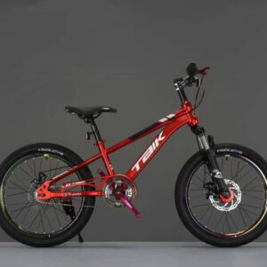 Xe Đạp Địa Hình TAIK TK-22 Size 18 Inch