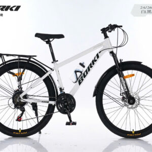 Xe Đạp Thể Thao Khung Nhôm BORKI N500 Size 24 Inch ( Tặng kèm giá đỡ + bình nước)