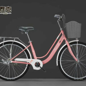 Xe Đạp Mini TAIK Giỏ Đan Khung Cong Size 24 Inch