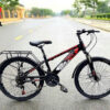 Xe Đạp Thể Thao Địa Hình BULL C7D Size 24 Inch