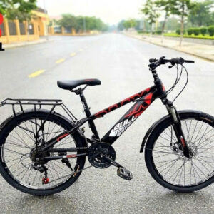 Xe Đạp Thể Thao Địa Hình BULL C7D Size 20 Inch